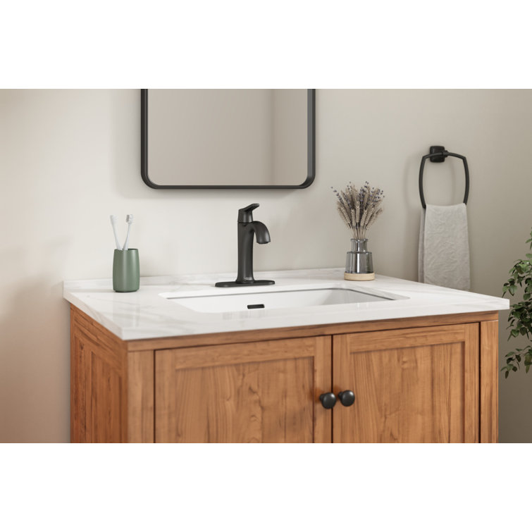 Matte Black Single-Handle Bathroom Faucet with Drain Assembly