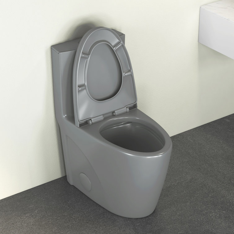 Reno Glacier Gray Elongated Dual Flush One-Piece Toilet