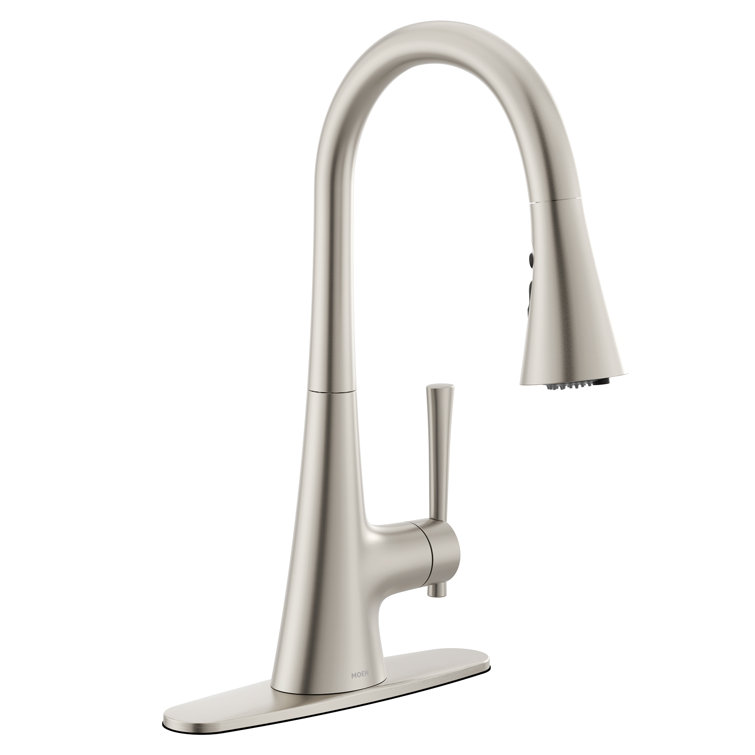 Spot Resist Stainless Steel Pull-Down Kitchen Faucet with Spray