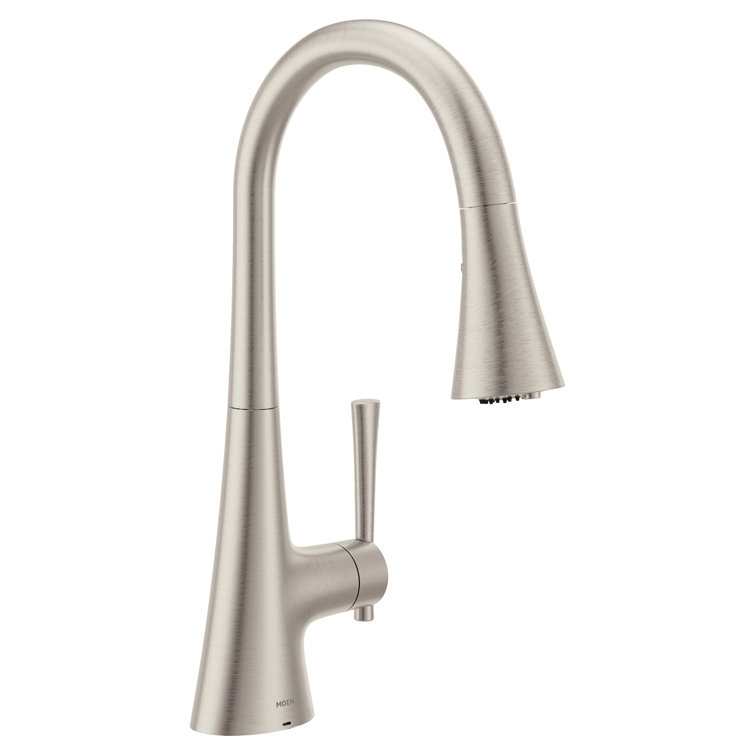 Spot Resist Stainless Steel Pull-Down Kitchen Faucet with Spray