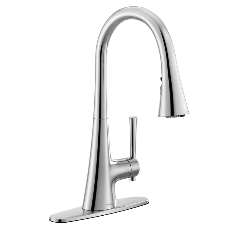 Chrome Pull-Down Kitchen Faucet with Water Filtration
