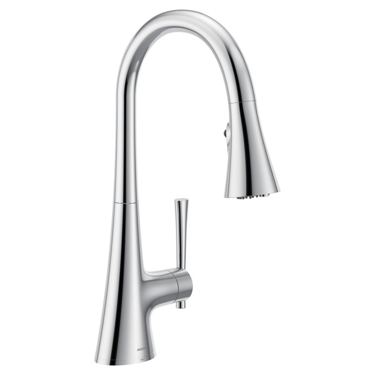Chrome Pull-Down Kitchen Faucet with Water Filtration