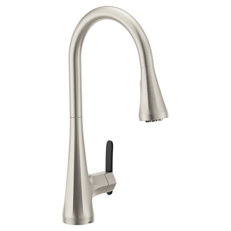 Stainless Steel Pull-out Spray Kitchen Faucet with Water Filtration