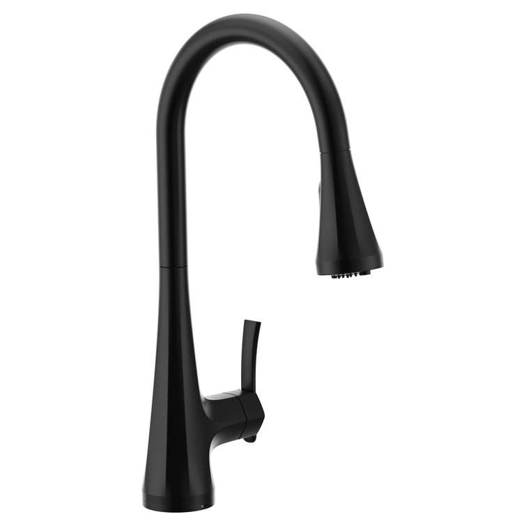 Matte Black Pull-Down Kitchen Faucet with Gold Handle