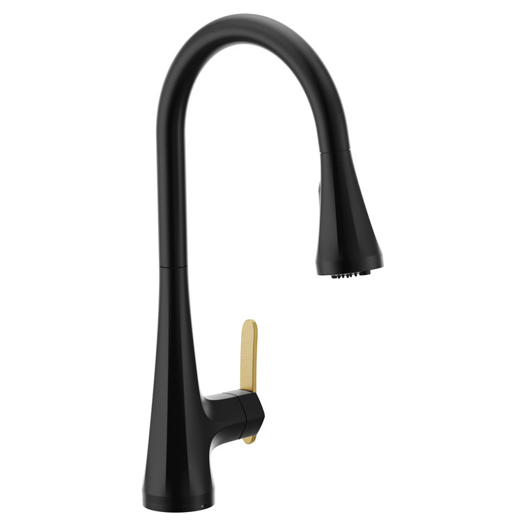 Matte Black Pull-Down Kitchen Faucet with Gold Handle