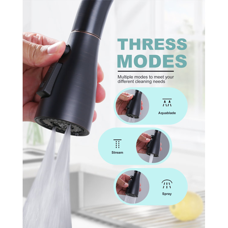 Oil Rubbed Bronze 3-Function Kitchen Faucet Spray Head with 9 Adapters