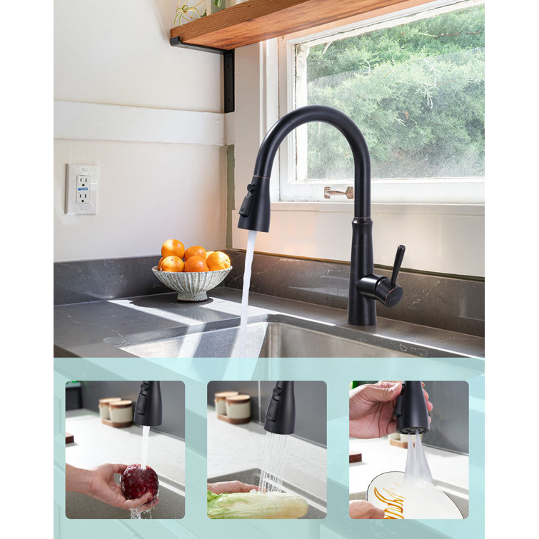 Oil Rubbed Bronze 3-Function Kitchen Faucet Spray Head with 9 Adapters