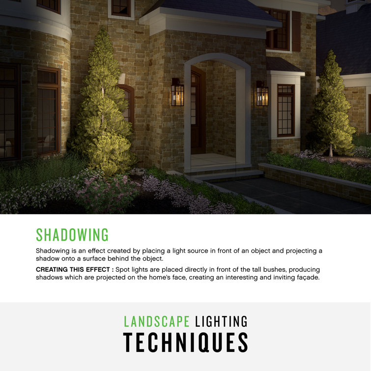 Matte Bronze LED Outdoor Spotlight with Clear Lens