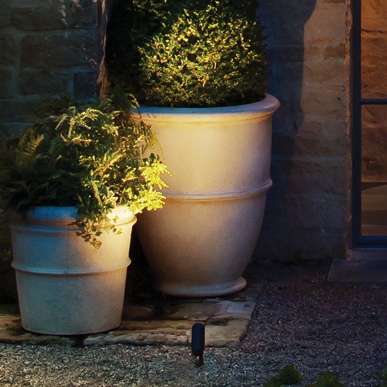 Matte Bronze LED Outdoor Spotlight with Clear Lens