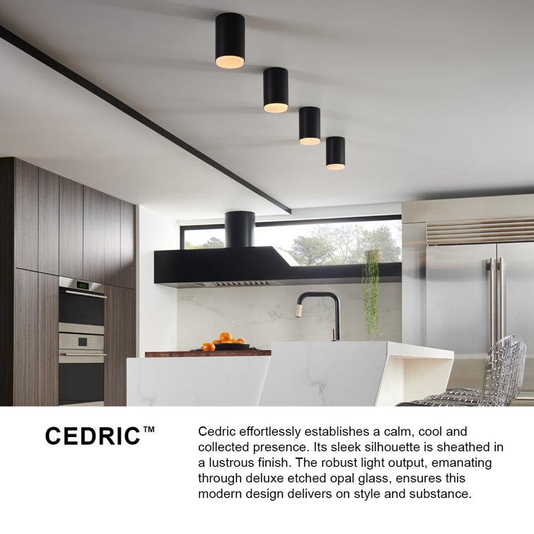 Cedric Black Etched Opal Glass 5.25" Dimmable Flush Mount