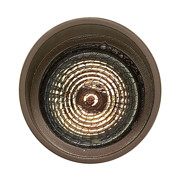 Bronze 75W Outdoor Landscape Spot Light with Clear Glass