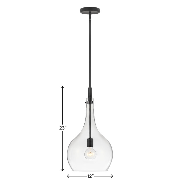 Ziggy Sleek Black Steel Pendant with Clear Glass Shade
