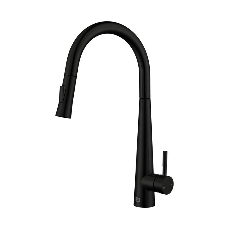 Matte Black Stainless Steel Gooseneck Kitchen Faucet with Pull-out Spray