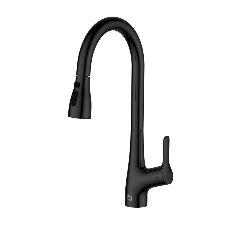 Matte Black Gooseneck Pull-Down Kitchen Faucet with Spray