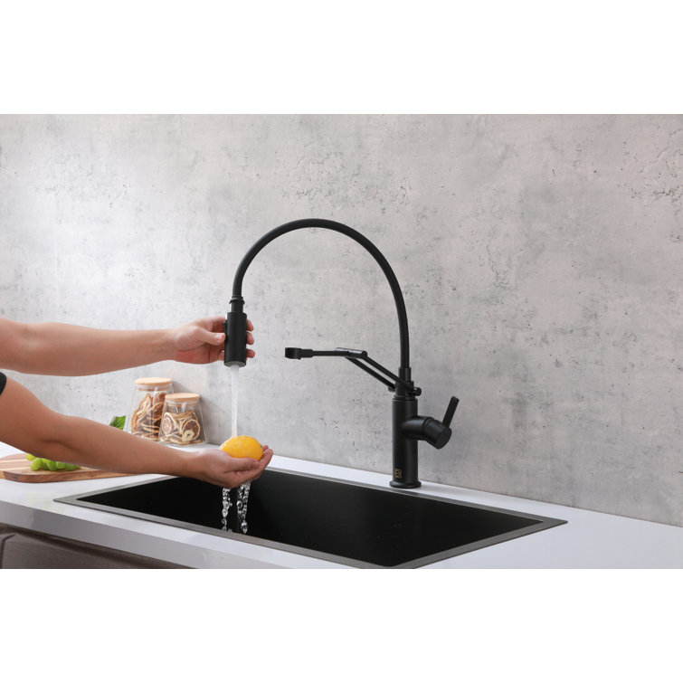 Matte Black Brass Low Arc Pull-out Spray Kitchen Faucet