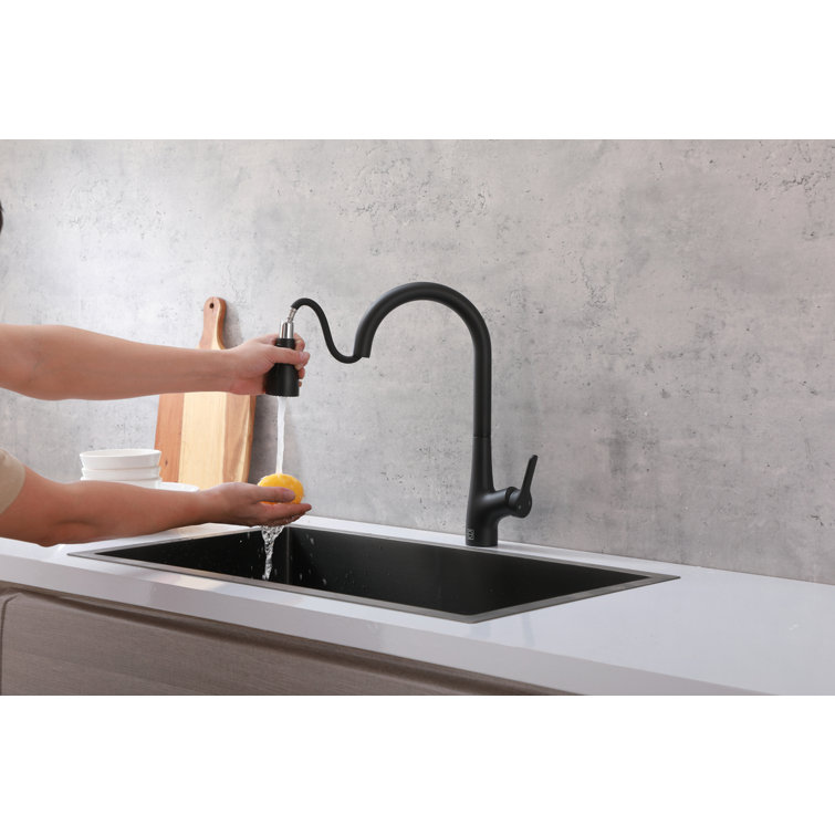 Matte Black Gooseneck Pull-Down Kitchen Faucet with Spray