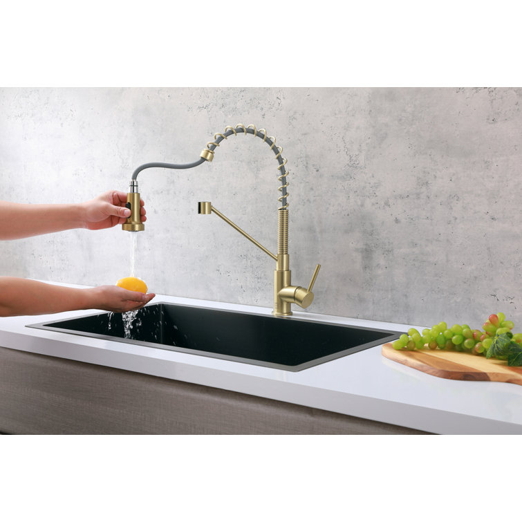 Brushed Gold Brass Spring Neck Kitchen Faucet with Pull-out Spray