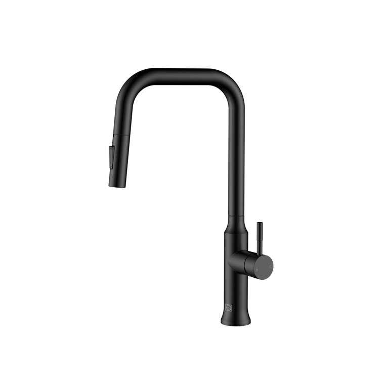 Matte Black Stainless Steel Gooseneck Kitchen Faucet with Pull-out Spray