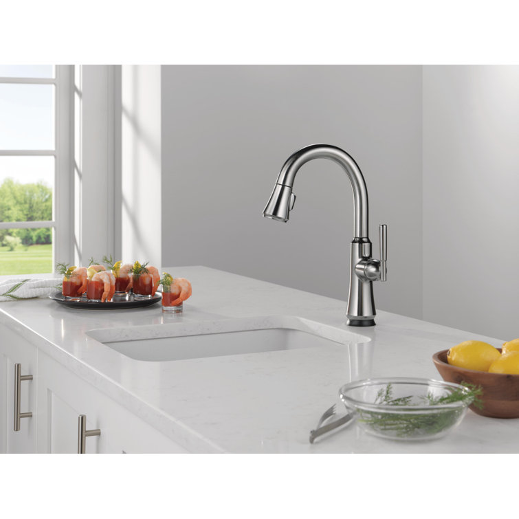 Arctic Stainless Steel Pull-Out Spray Bar Faucet