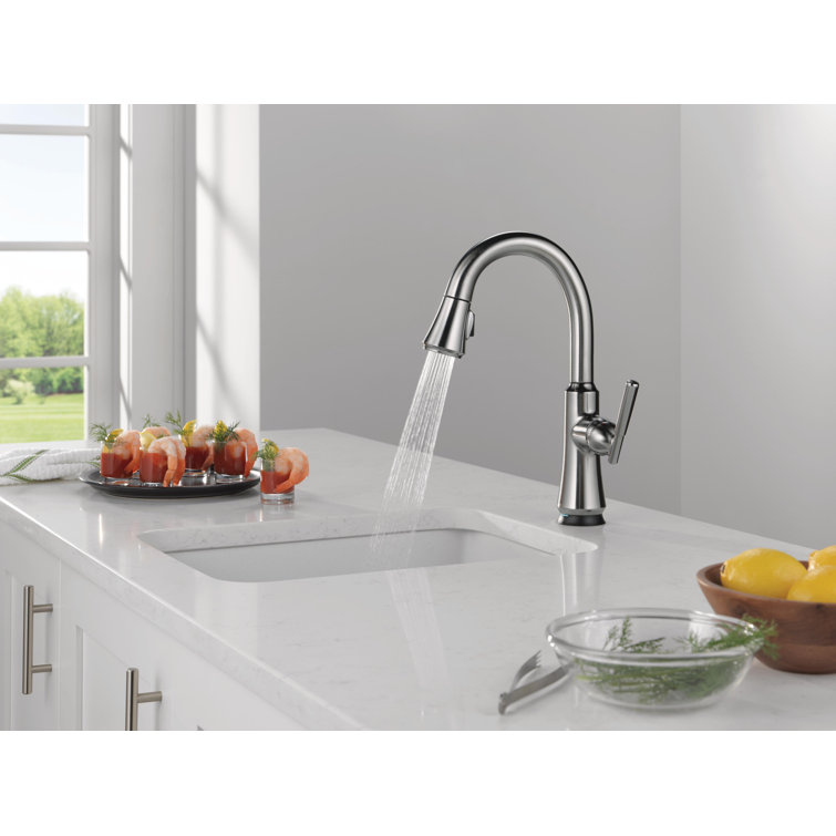 Arctic Stainless Steel Pull-Out Spray Bar Faucet