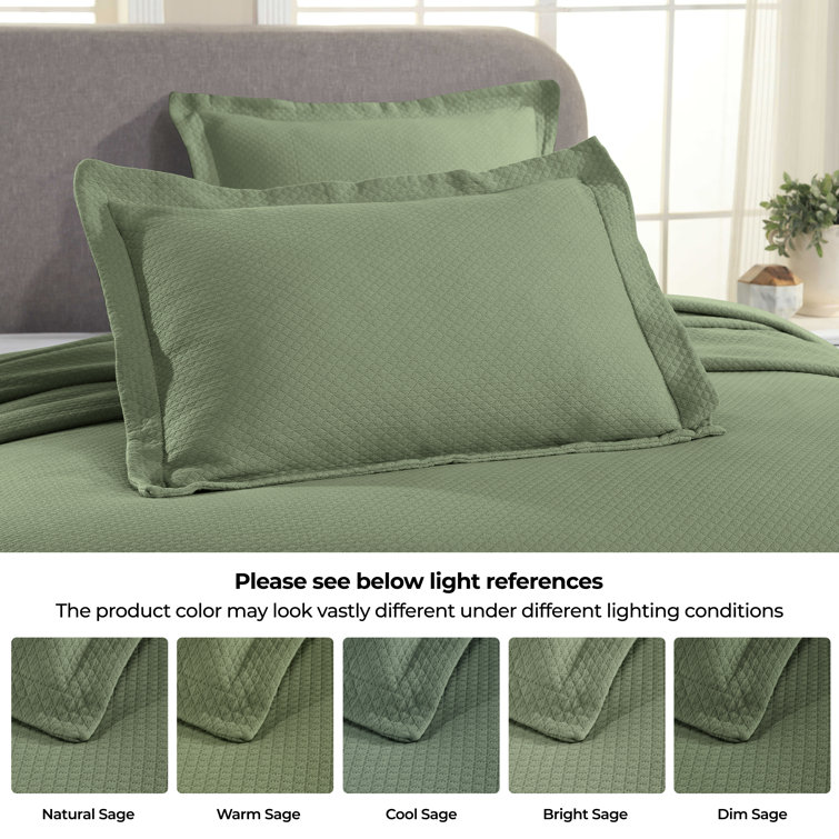 Sage Cotton Twin Reversible Bedspread Set with Sham