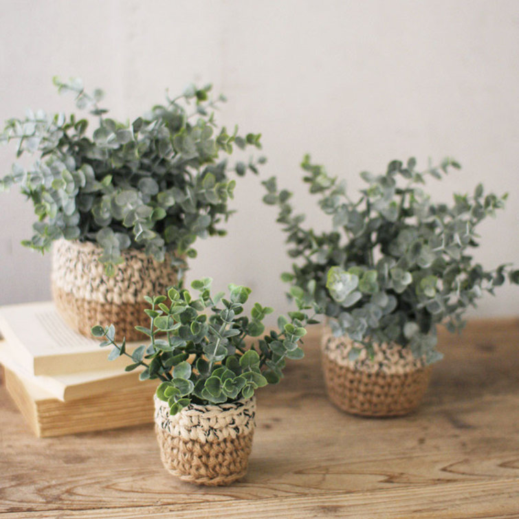 Trio of Lifelike Eucalyptus Greenery in Handwoven Pots