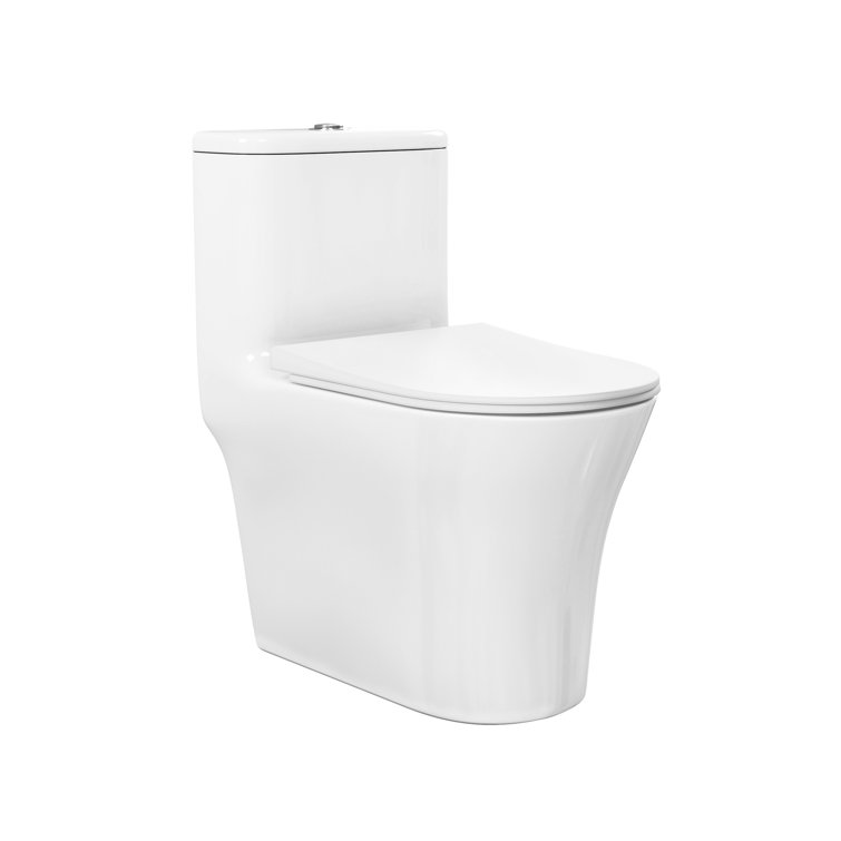 Glossy White Elongated Dual Flush One-Piece Toilet