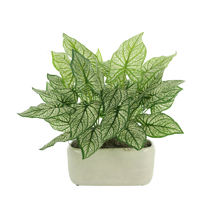 Nature's Elegance Faux Green Elephant Ear Plant in Oval Ceramic Pot