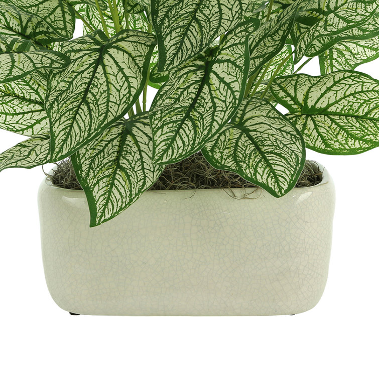Nature's Elegance Faux Green Elephant Ear Plant in Oval Ceramic Pot