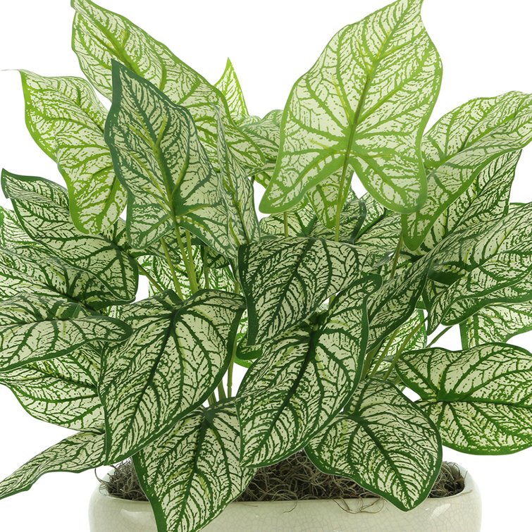 Nature's Elegance Faux Green Elephant Ear Plant in Oval Ceramic Pot