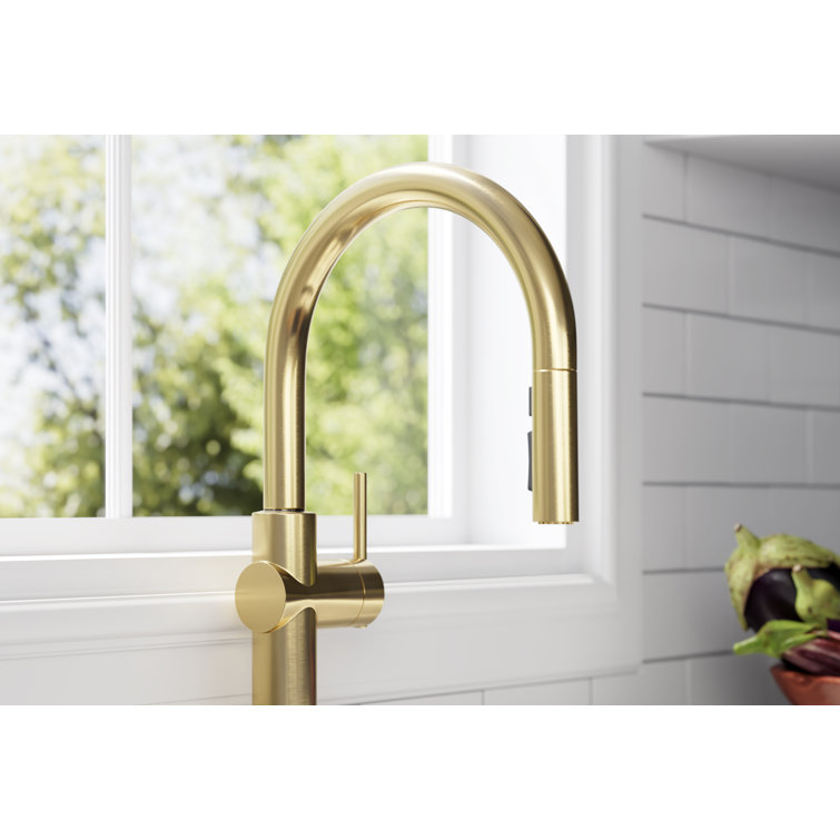 Sophisticated Moderne Brass Regular Kitchen Faucet with Pull-out Spray