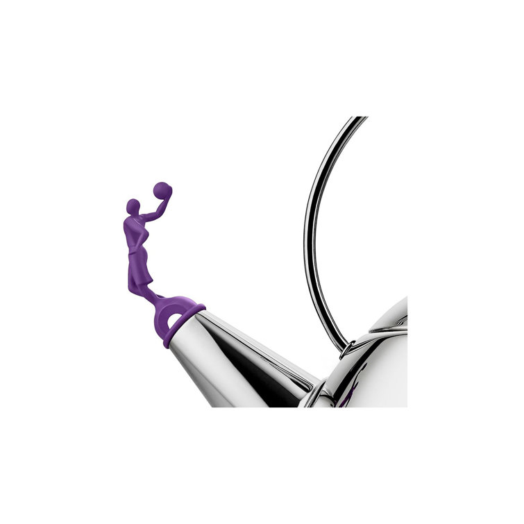 Limited Edition Purple Handle Stainless Steel Whistling Kettle