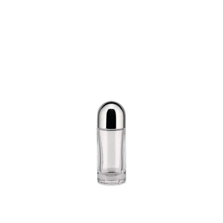 Crystal and Stainless Steel Modern Salt Castor
