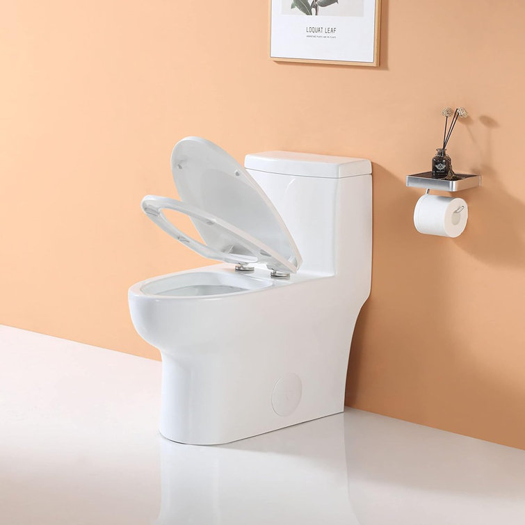White Ceramic Elongated Dual Flush One-Piece Toilet