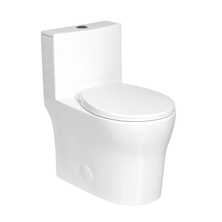 Gloss White Round One-Piece Dual Flush Toilet with Soft Close Seat
