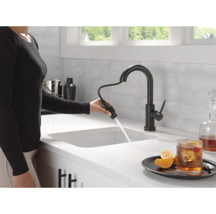 Sleek Stainless Steel 14" Modern Pull-Out Spray Kitchen Faucet