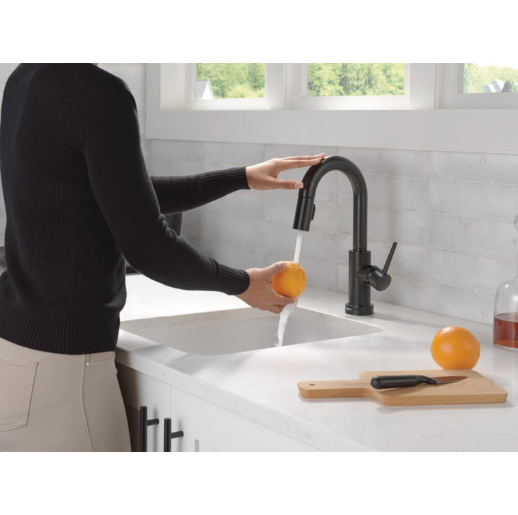 Sleek Stainless Steel 14" Modern Pull-Out Spray Kitchen Faucet