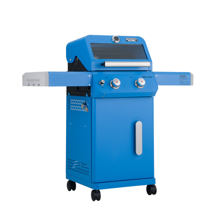 Blue 2-Burner Propane Gas Grill with Clear View Lid