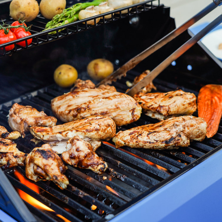 Blue 2-Burner Propane Gas Grill with Clear View Lid