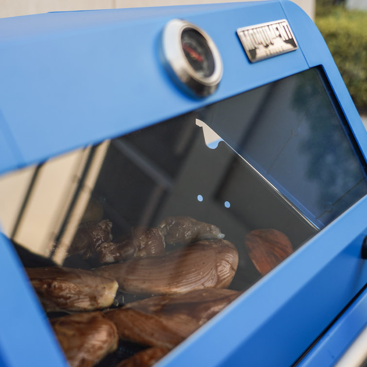 Blue 2-Burner Propane Gas Grill with Clear View Lid