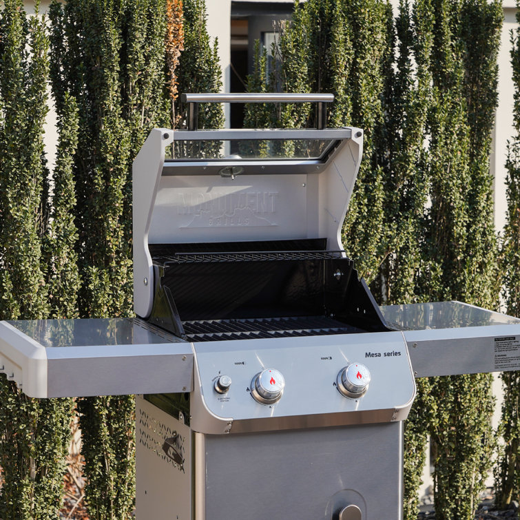 Mesa 2-Burner Stainless Steel Propane Gas Grill with LED Controls