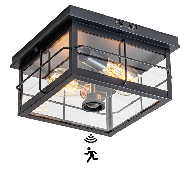 Matte Black 2-Light Outdoor Flush Mount with Clear Glass Shade