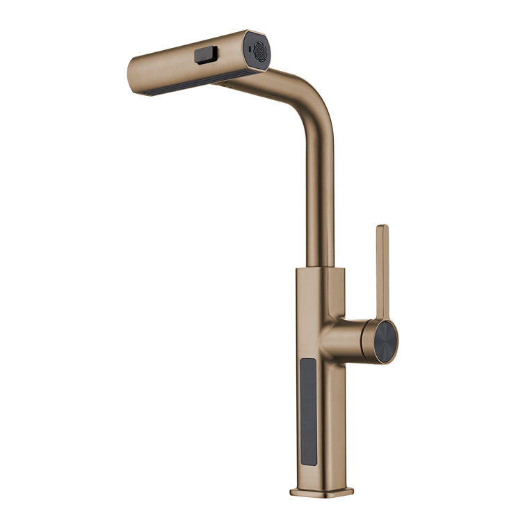 Brushed Brass Single Handle Pull-Out Kitchen Faucet