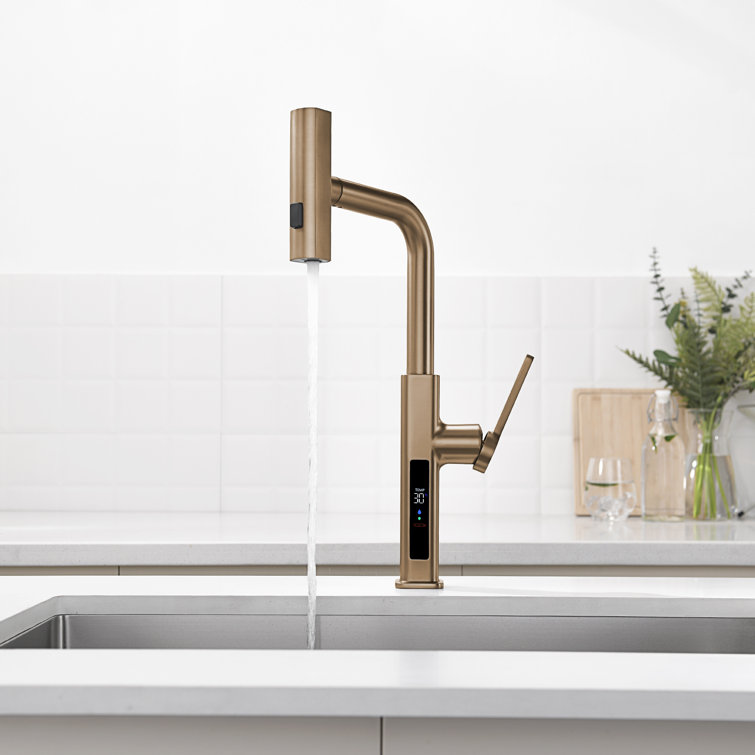 Brushed Brass Single Handle Pull-Out Kitchen Faucet