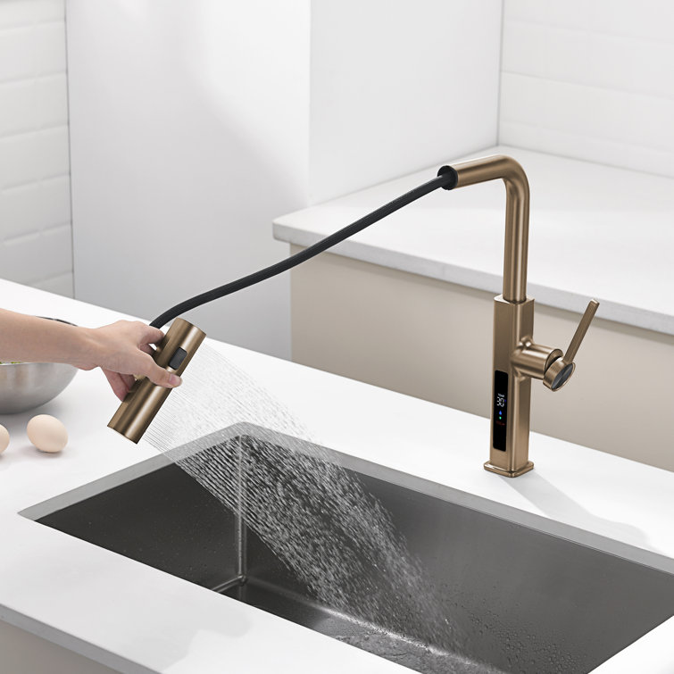 Brushed Brass Single Handle Pull-Out Kitchen Faucet