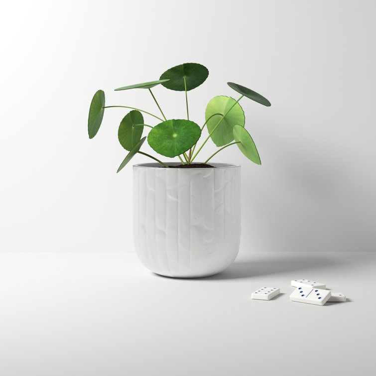 White Round Ceramic Indoor Pot Planter