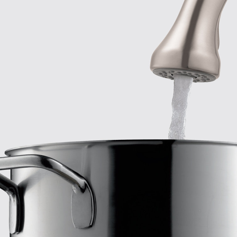 Stainless Steel Modern Pull-Out Spray Kitchen Faucet