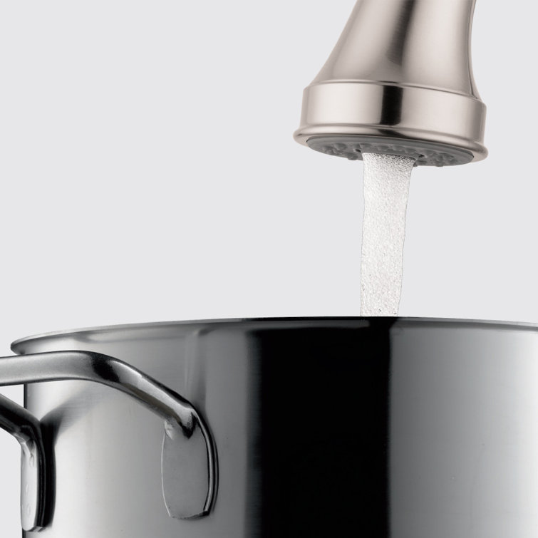 Steel Optik Stainless Steel Pull-Out Spray Kitchen Faucet