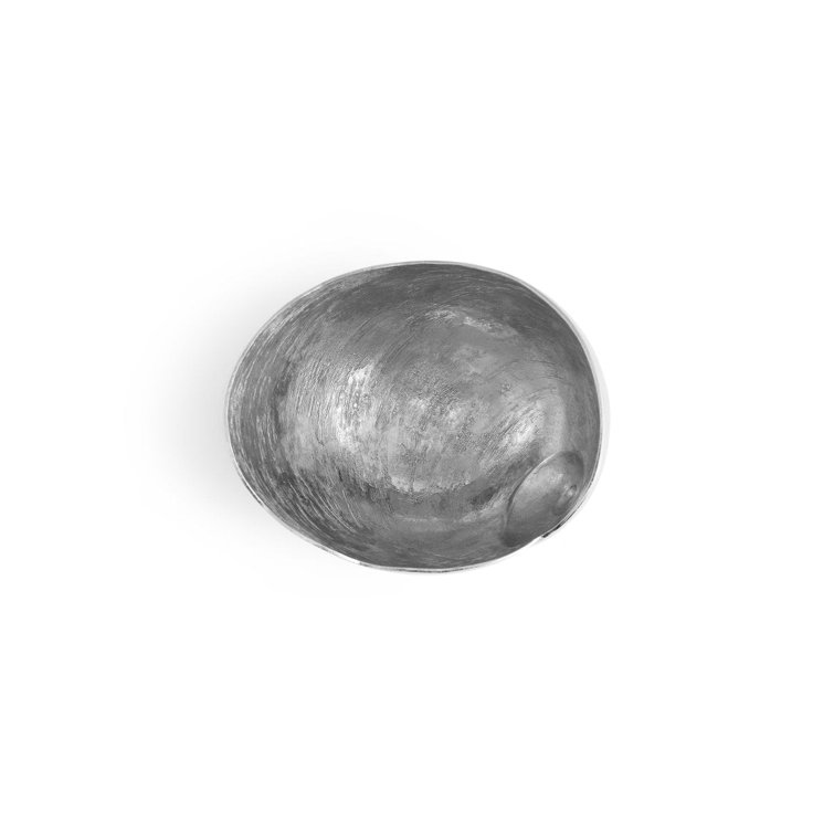 Small Silver Ocean Reef Moon Shell Bowl