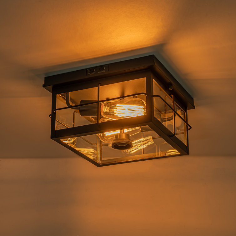 Matte Black 2-Light Outdoor Flush Mount with Clear Glass Shade